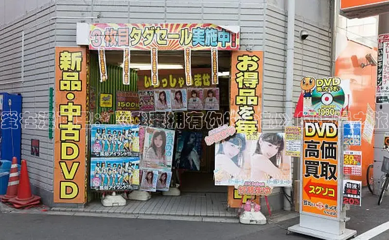 五一动画网页版