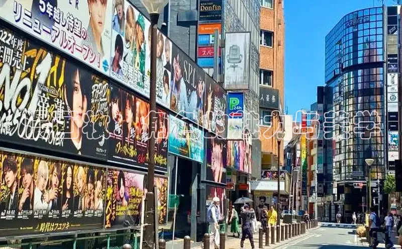 五一动画网页版