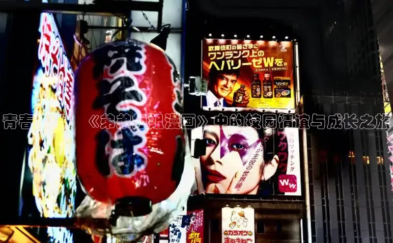 五一动画网页版