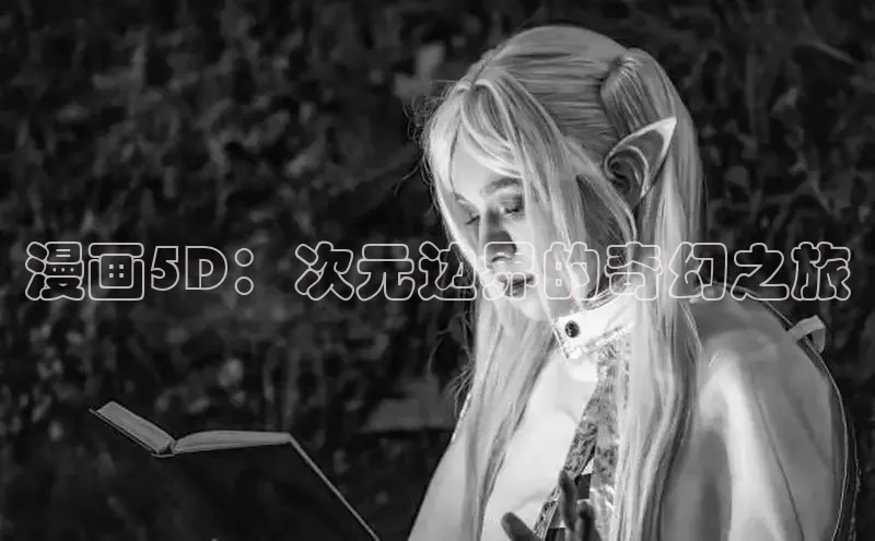 51动画网页版官网