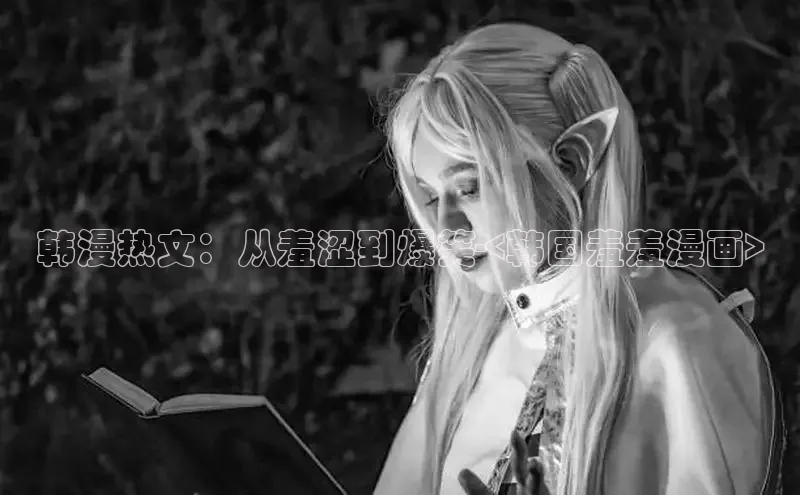 五一动画网页版