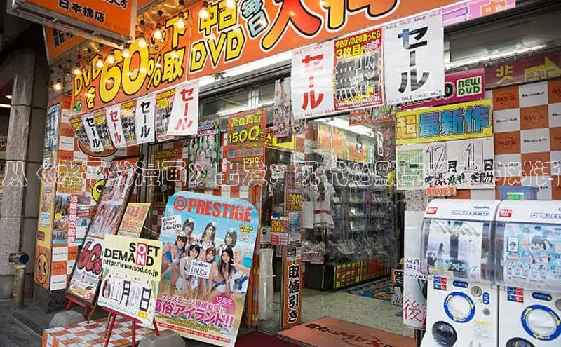 51动画网页版官网